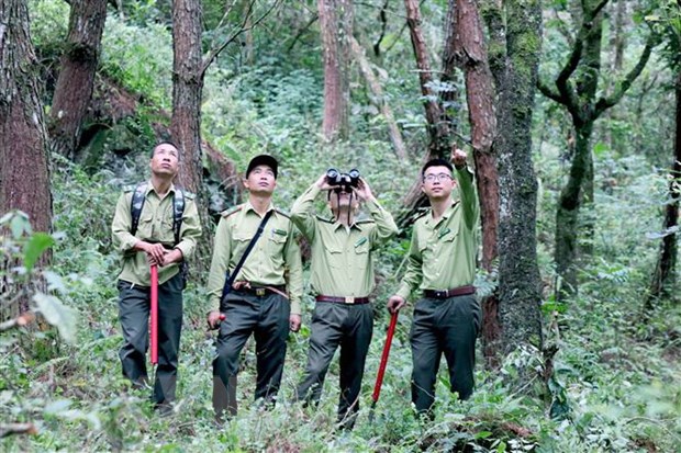 GIỮ RỪNG LÀM DU LỊCH